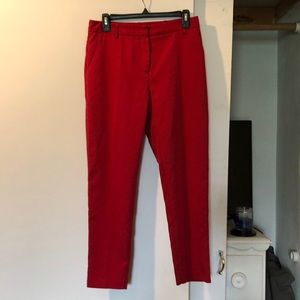 Red dress pant
